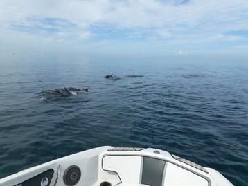 Photos Excursion de 2 heures (3).jpg