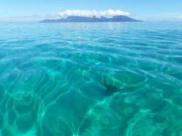 Photos Excursion de 2 heures (7).jpg