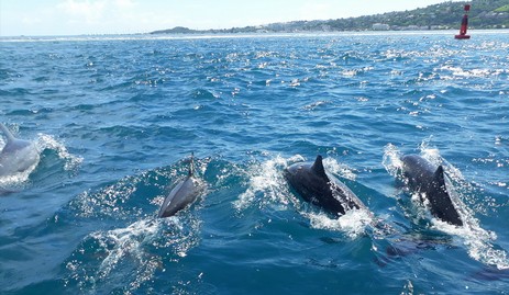 Photos Excursion de 3 heures (1).jpg