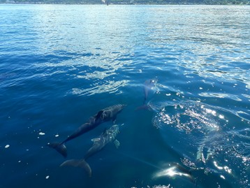 Photos Excursion de 3 heures (14).jpg